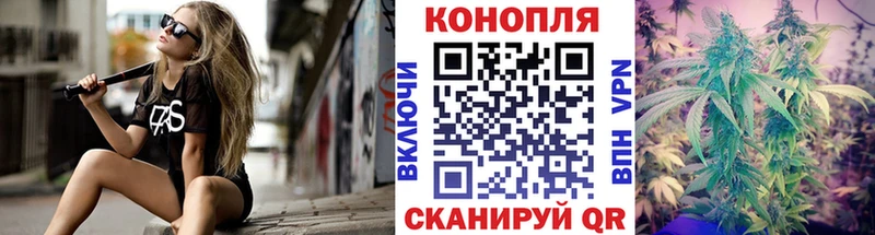 как найти наркотики  Курган  Каннабис планчик 
